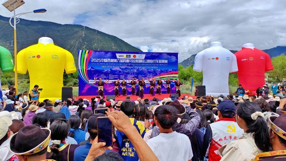 动鲜活的演 动鲜活的演