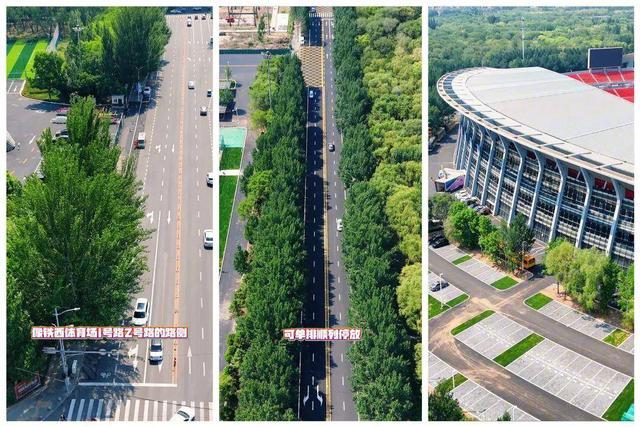 号路, 音乐节 号路, 音乐节